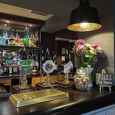 Owl, Hambleton By Marston's Selby