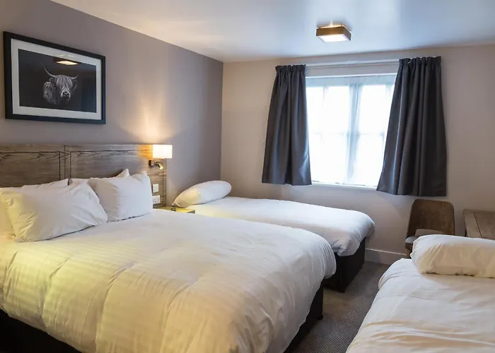 Owl, Hambleton By Marston's Selby