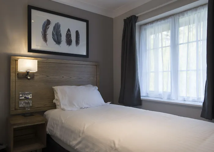 Owl, Hambleton By Marston's