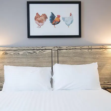 Owl, Hambleton By Marston's 酒店 塞尔比